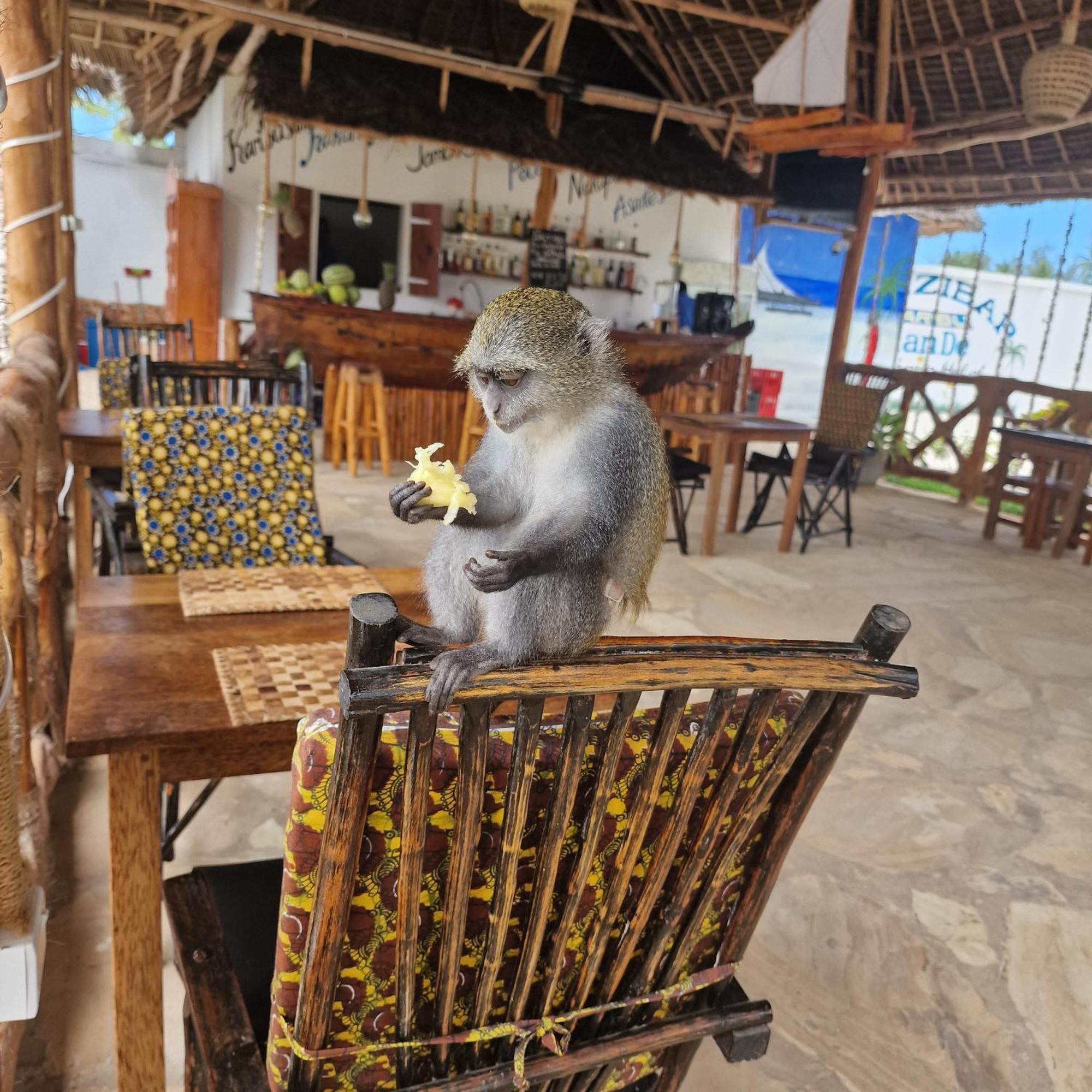 Tiande Boutique Hotel Pwani Mchangani Buitenkant foto